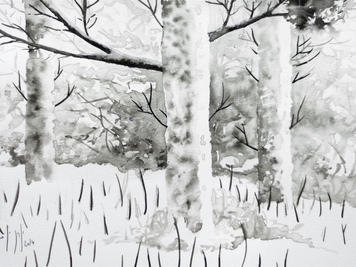 Paisaje B&N