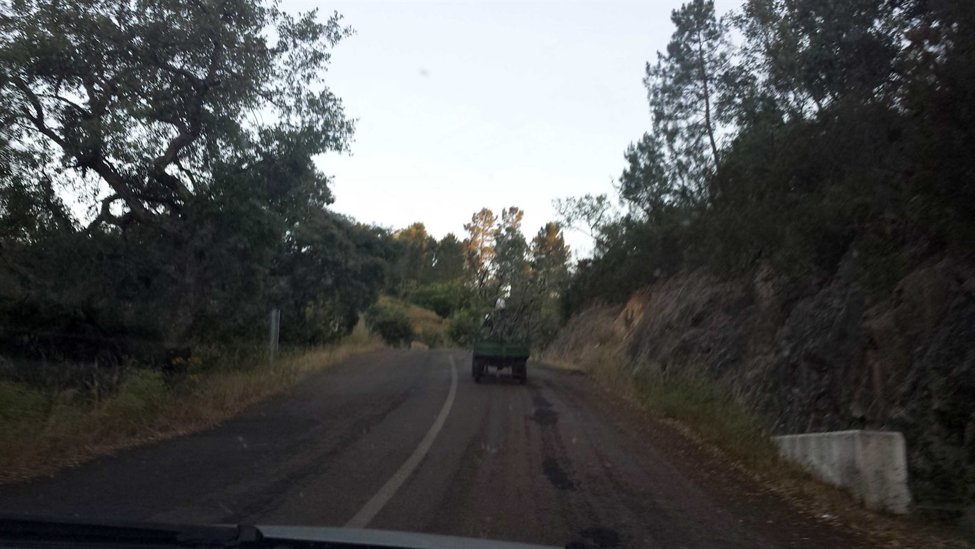 De vuelta