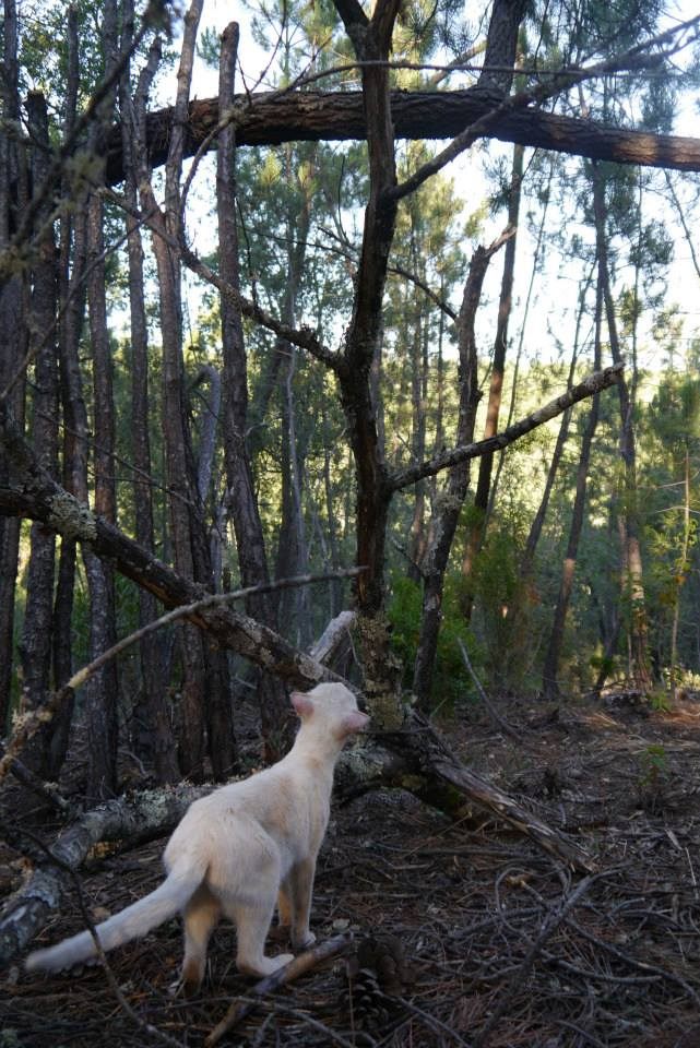 Una visita