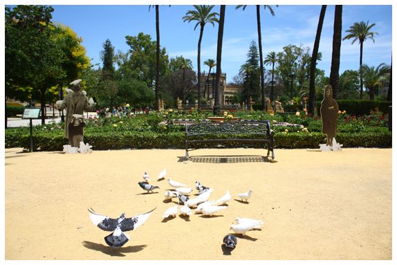 La Plaza de las Palomas