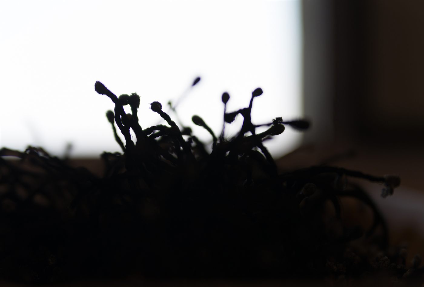 Seres Invisibles