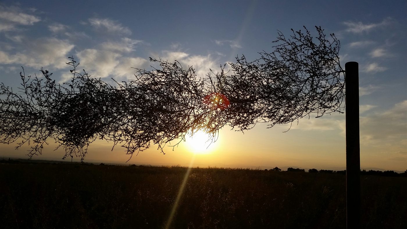 Terra Condere — Silere