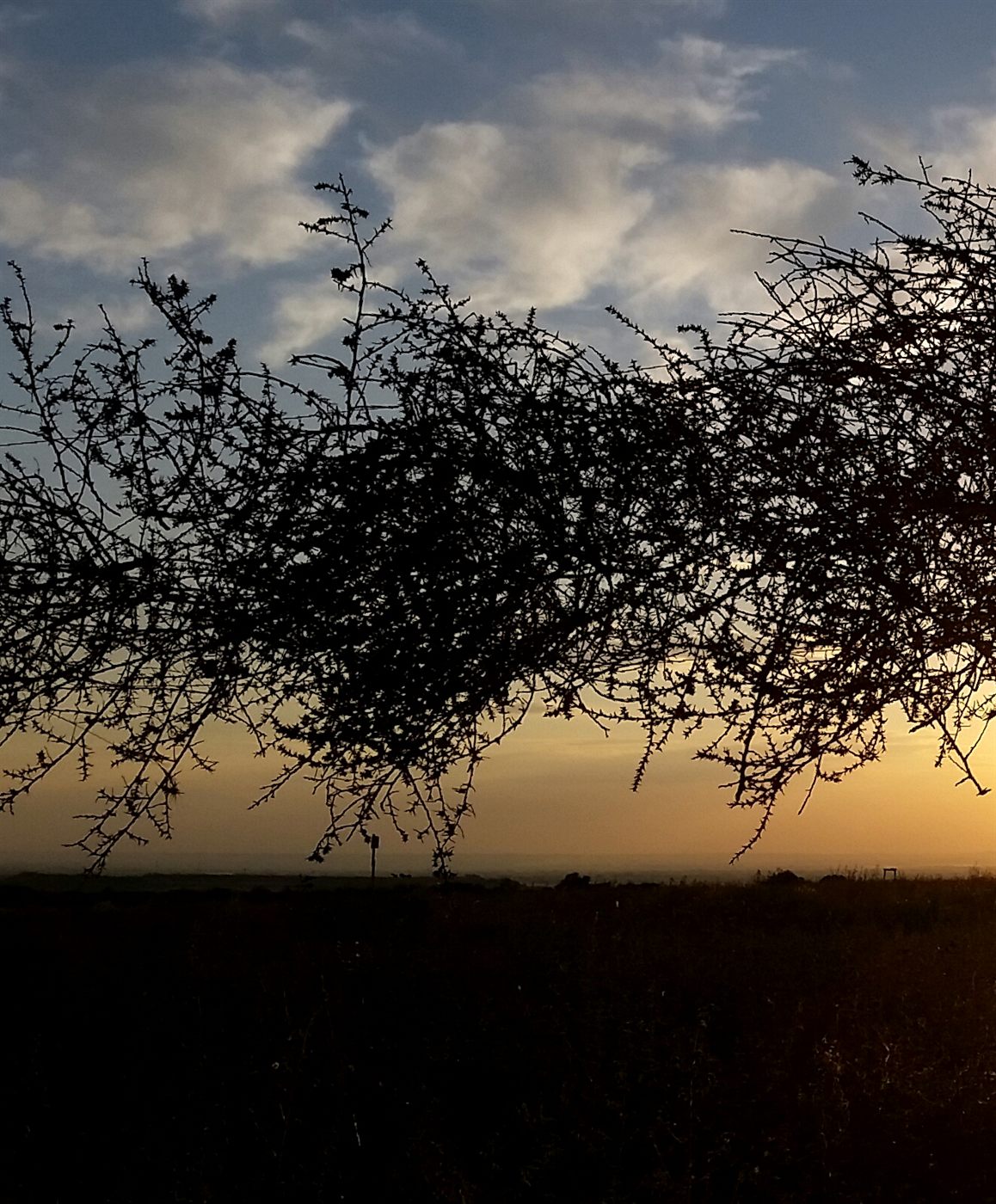 Terra Condere — Silere