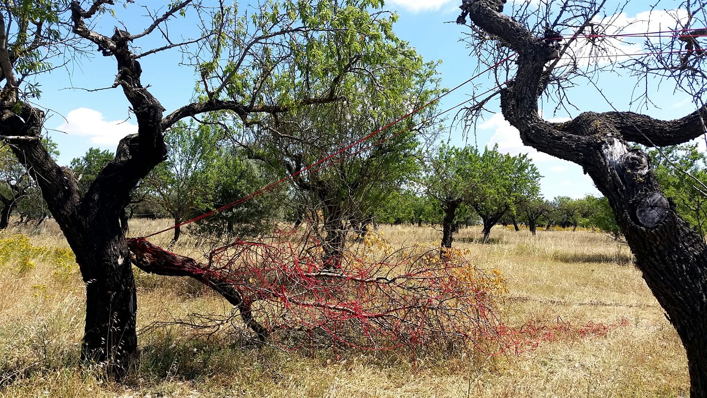 El rojo, apagado