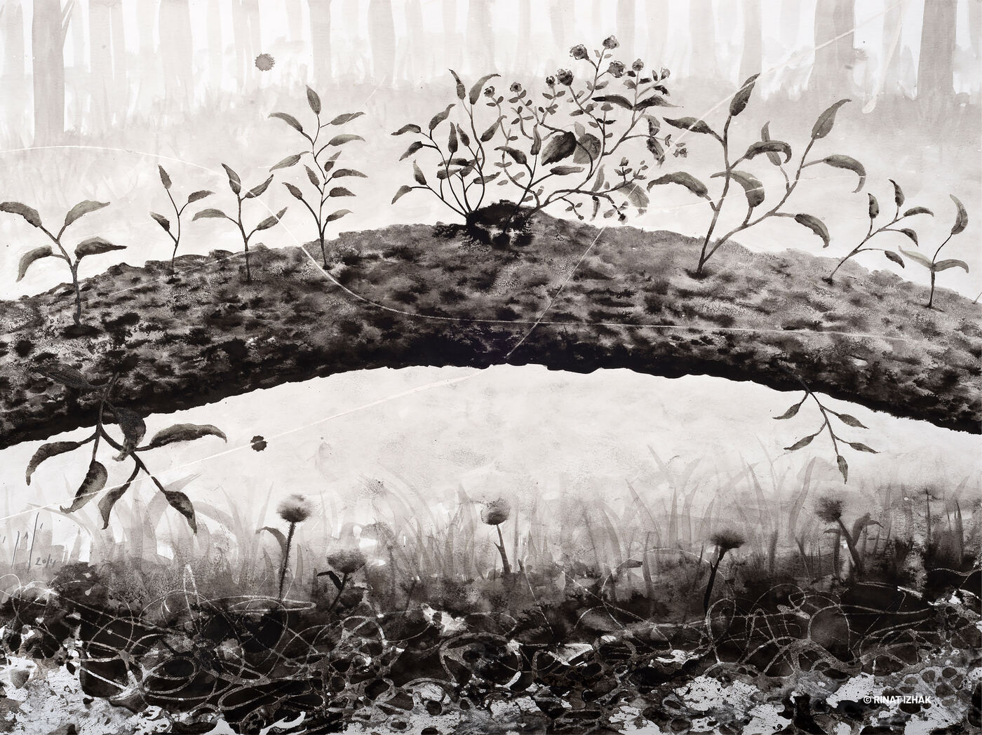 La raíz de uno es uno #148