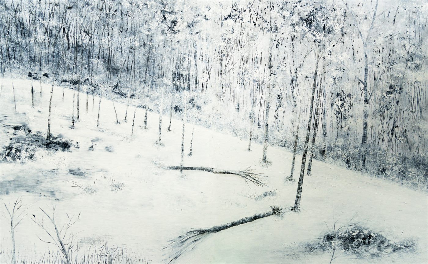 Paisaje B&N nº8