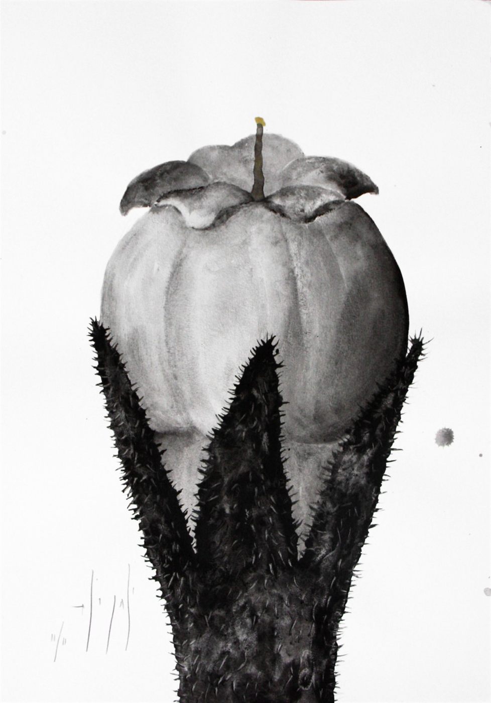 Retrato Natural No.12