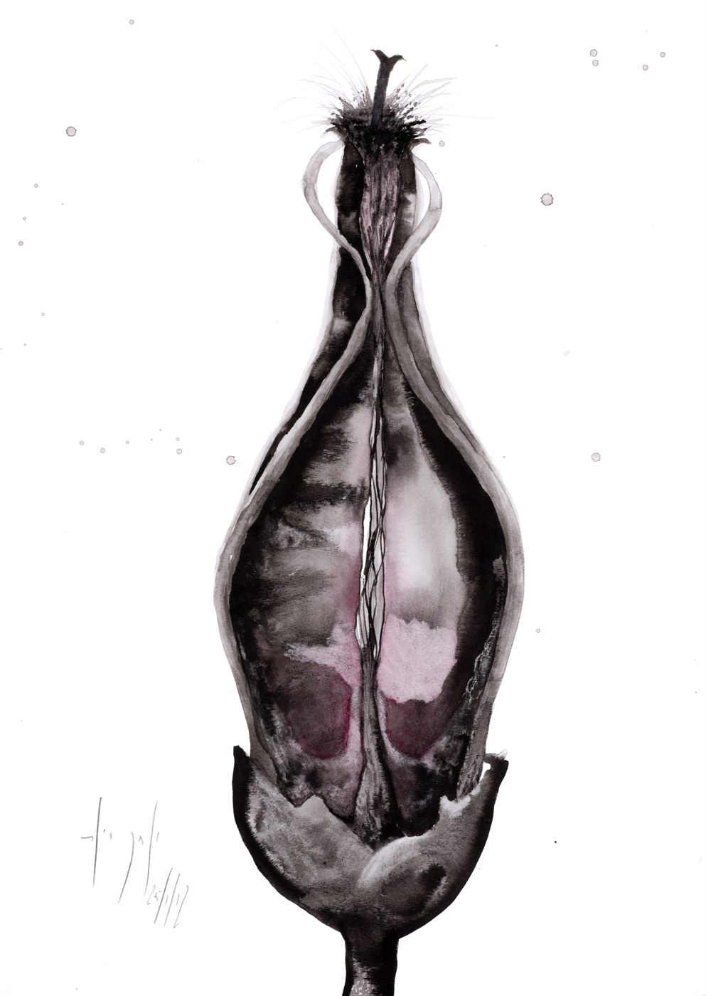 Retrato Natural No.22