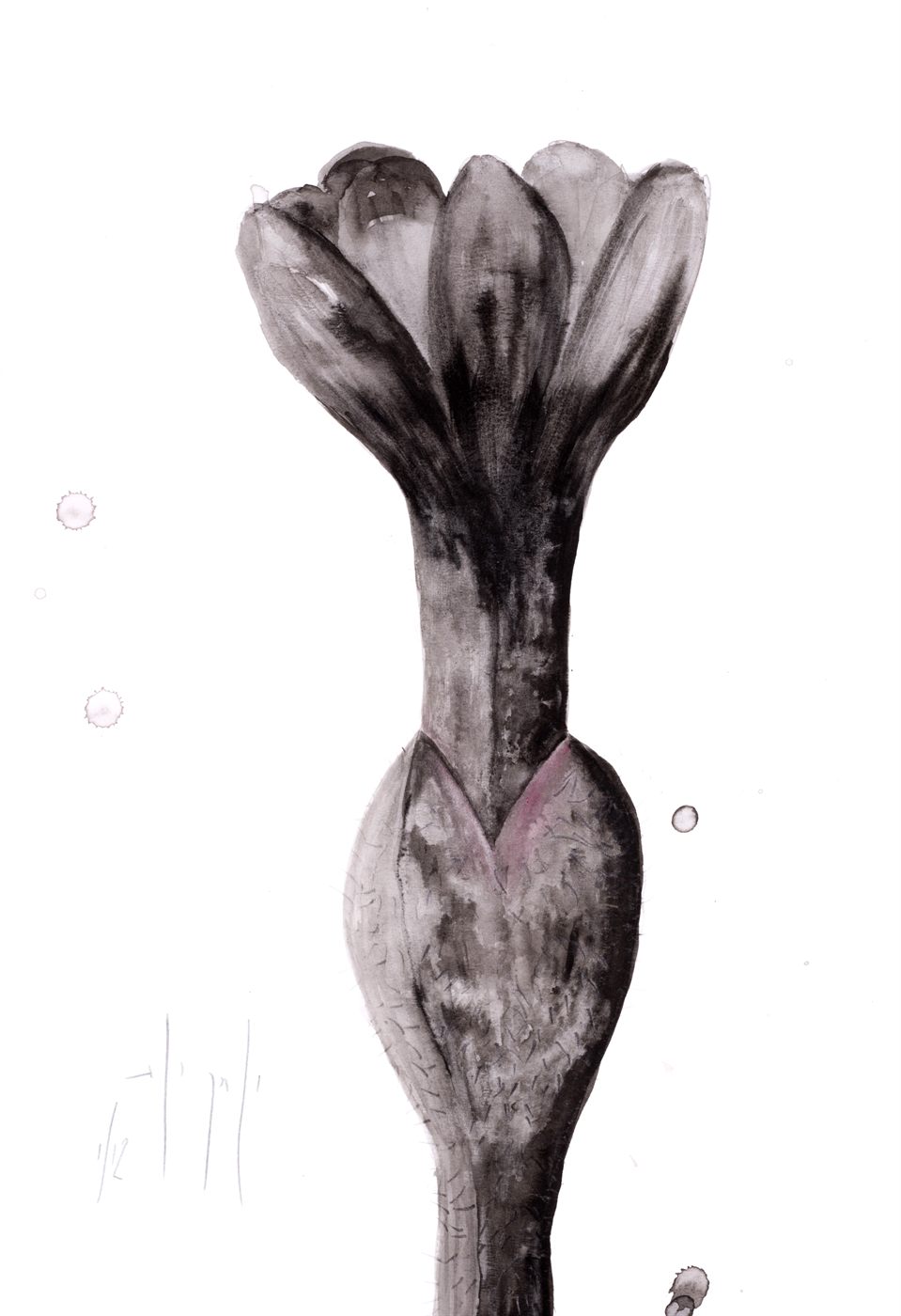 Retrato Natural No.38
